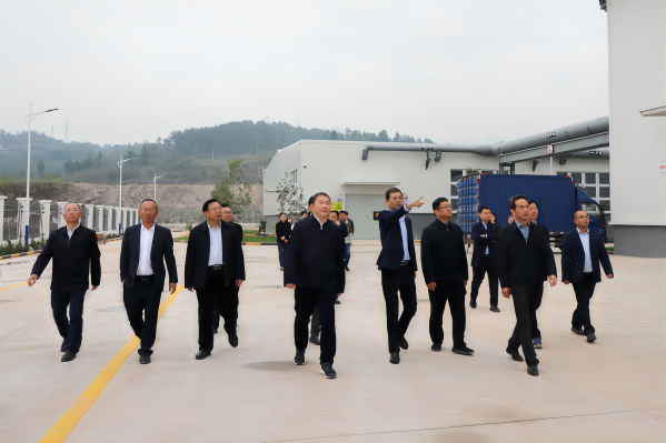 忠縣縣委書記李電一行蒞臨忠縣海螺環保調研督導重點項目建設